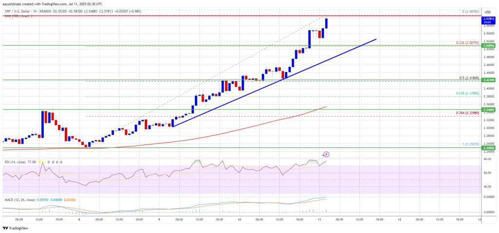 XRP Price 