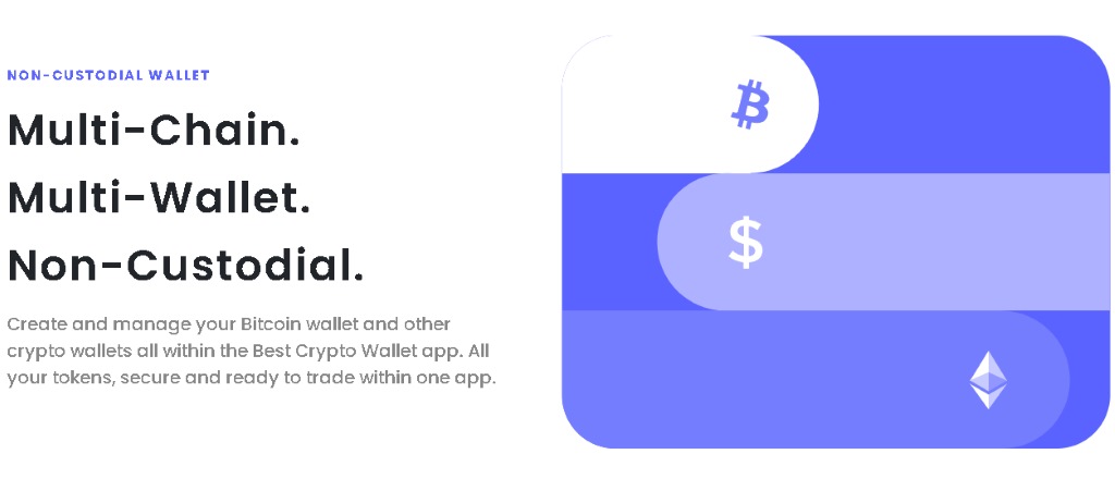 Ce Tip de Portofel Este Best Wallet?