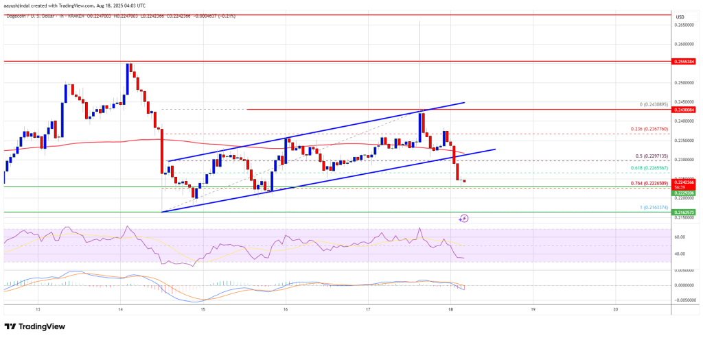 Dogecoin Price