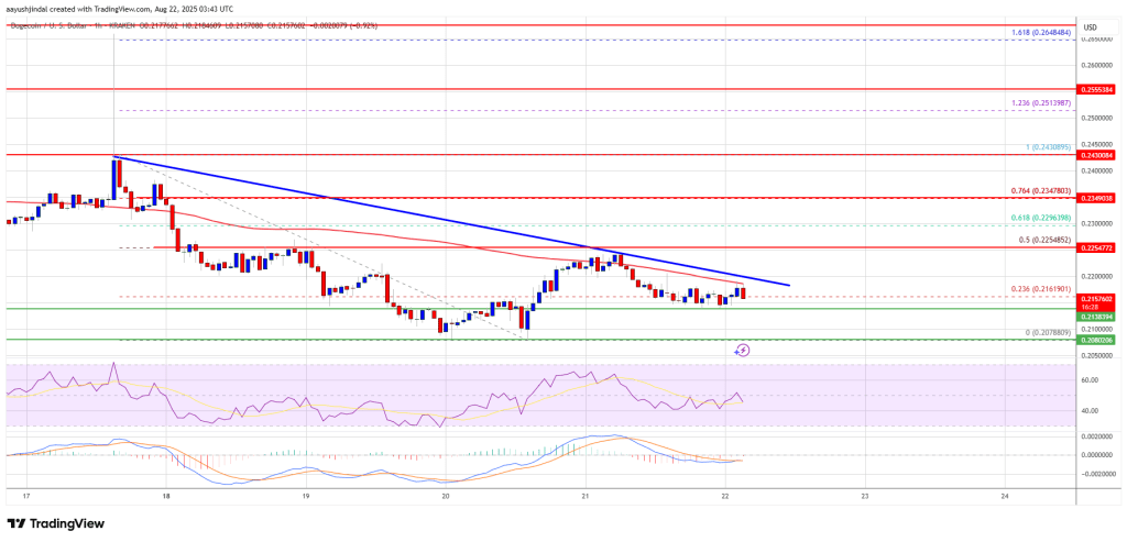 Dogecoin Price