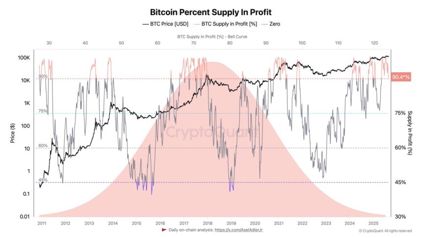 Bitcoin Percent Supply In Profit | Source: Darkfost
