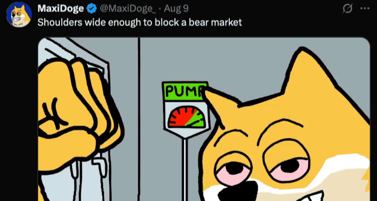 Shiba atostogauja – Maxi Doge dirba viršvalandžius