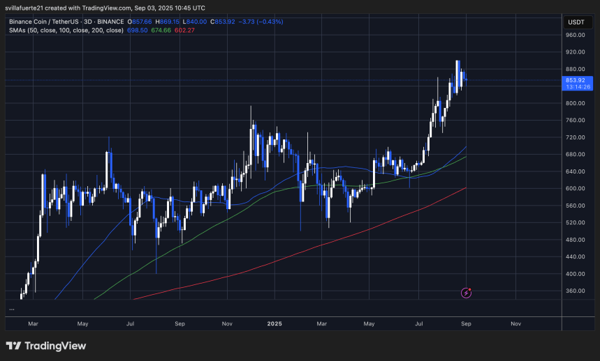 BNB manteniendo altos niveles de precios | Fuente: gráfico BNBUSDT en TradingView