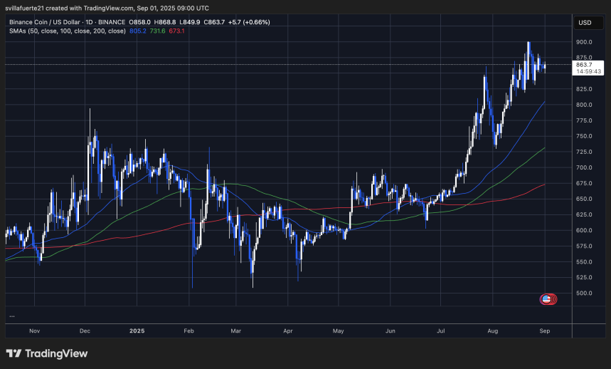 El precio de Binance se consolida en torno al ATH | Fuente: gráfico BNBUSDT en TradingView