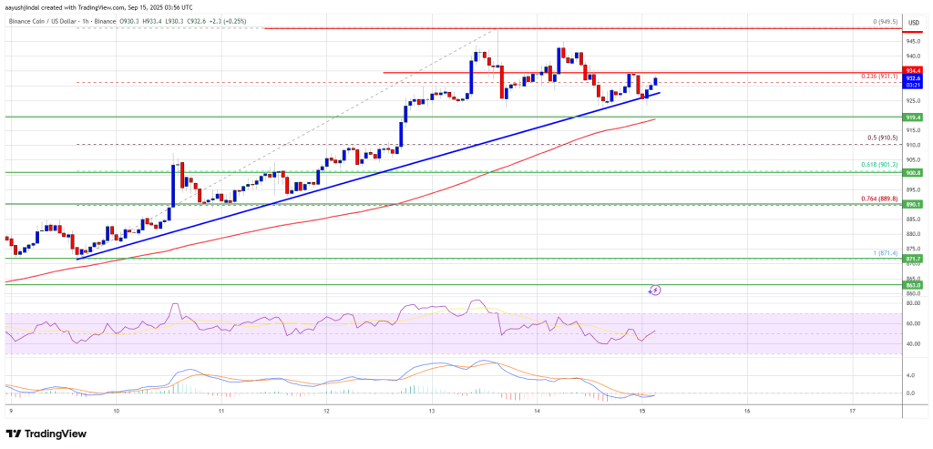 BNB Price