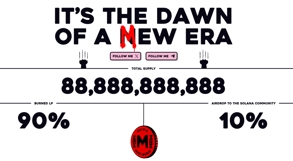 cat in the dogs world