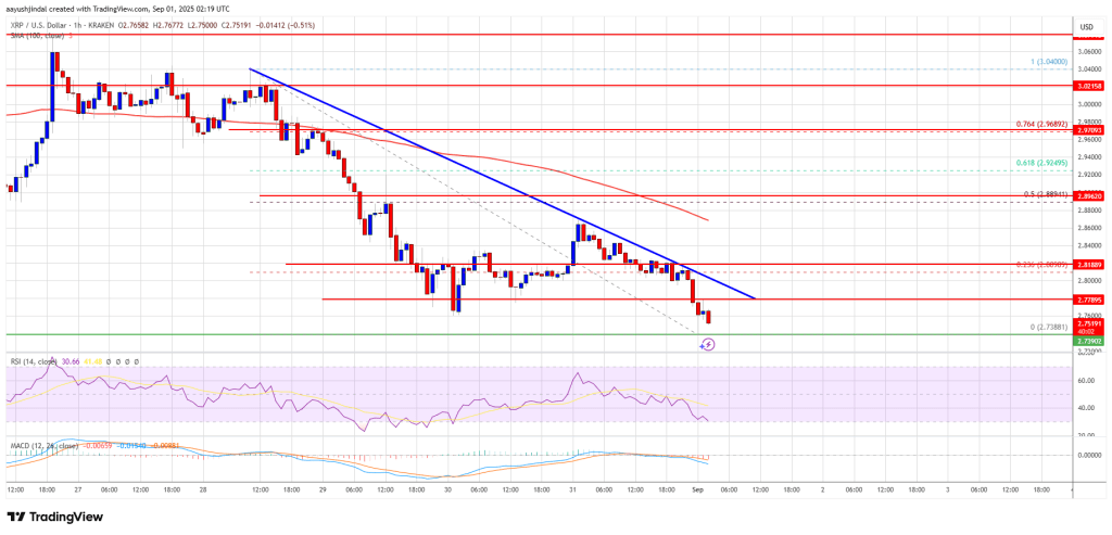XRP Price 