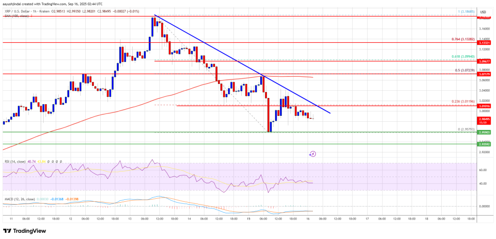 XRP Price