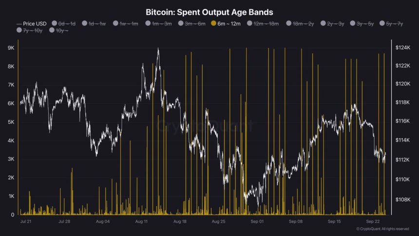Bitcoin Spent Output Age Bands | Source: Darkfost