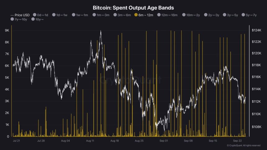 Bandas de edad de salida de gasto de Bitcoin | Fuente: Darkfost