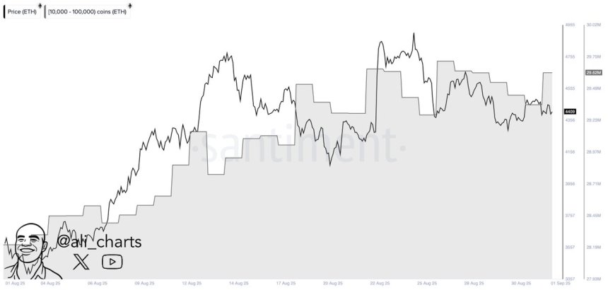 Las ballenas añaden 260,000 Ethereum en 24 horas | Fuente: Ali Martinez