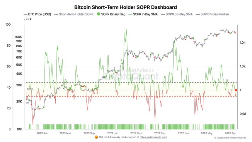 Bitcoin STH SOPR Dashboard | Source: Axel Adler