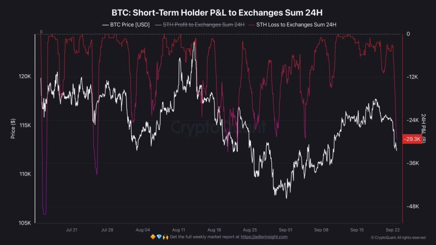 Bitcoin Short-Term Holder P&L to Exchanges | Source: Darkfost