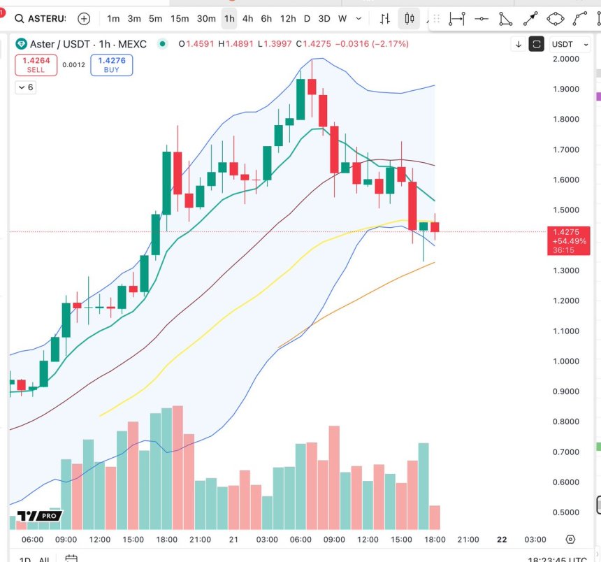 Aster probando el soporte crítico | Fuente: Big Cheds