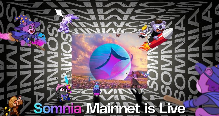 1. Somnia (SOMI) – greičio ir mastelio sprendimas