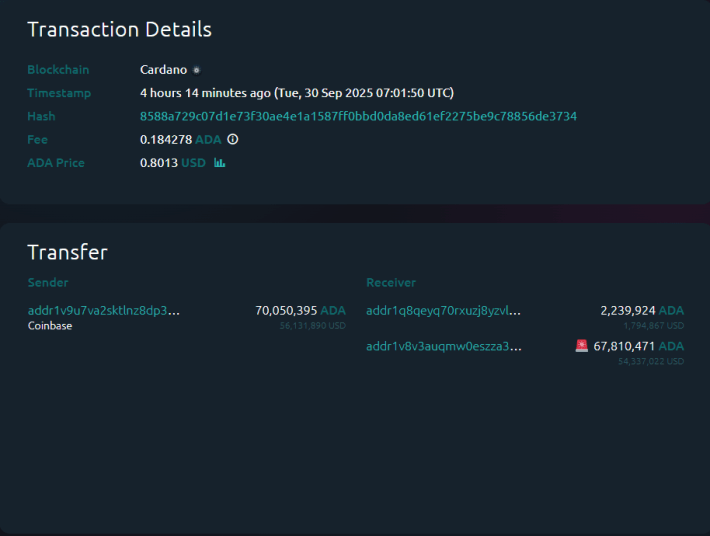 Cardano Whale Transaction
