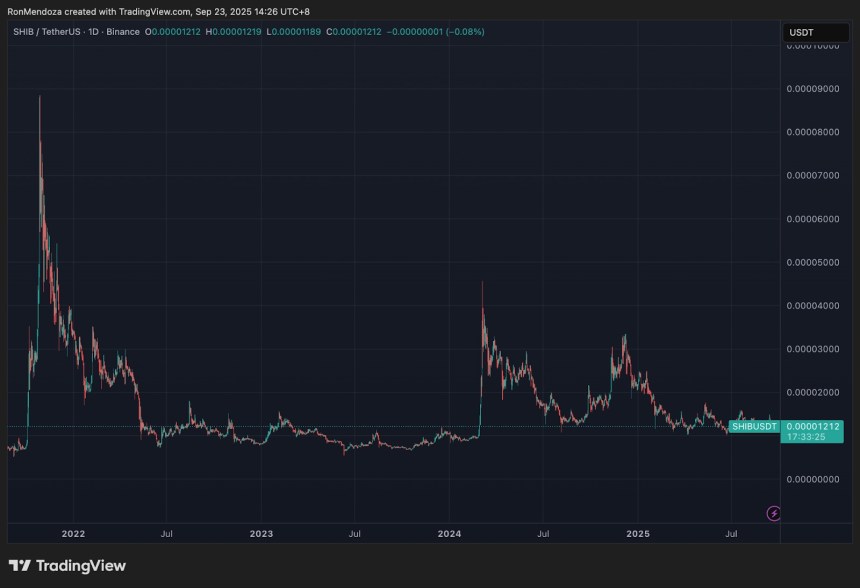 evolution-cours-shiba