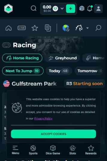 競馬ブックメーカーのメガダイス