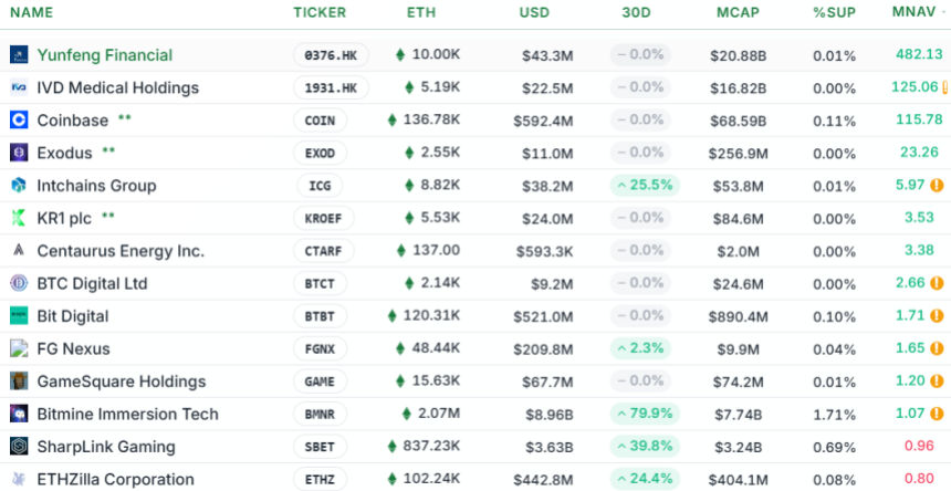 Stav mNAV u vybraných firem