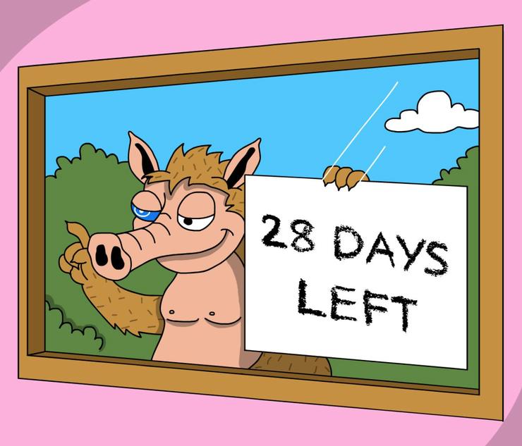 snorter 27 dní do konca predpredaja