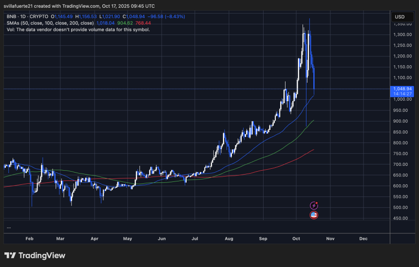 BNB testing critical demand level | Source: BNBUSDT chart on TradingView