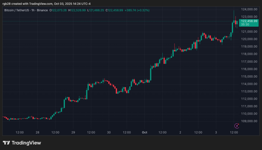 bitcoin, btc, btcusdt