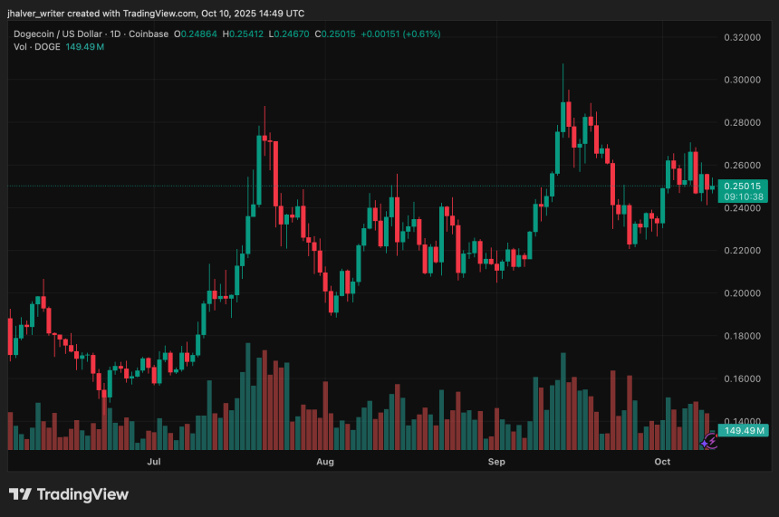 Dogecoin DOGE DOGEUSD