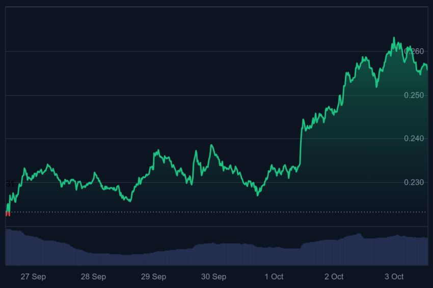dogecoin koers, dogecoin nieuws, meme coin, memecoins, crypto bull run