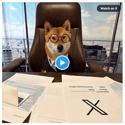 Elon Musk tweet meme coin Floki