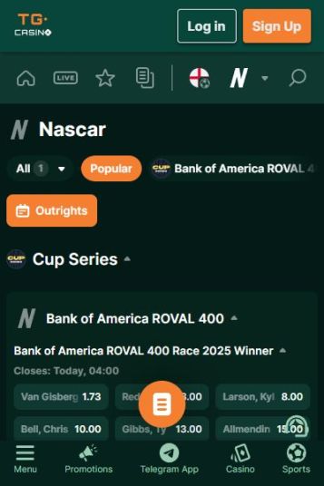 F1観戦のお供に！スマホで手軽にベット