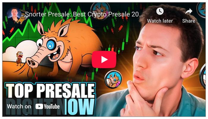 snorter trading bot youtube video