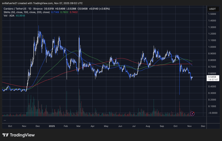 ADA setting fresh lows | Source: ADAUSDT chart on TradingView