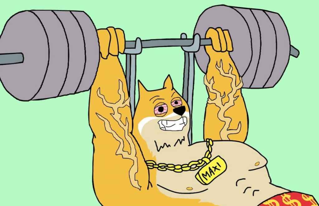 Maxi Doge - 流動性・上場・価格追跡の重要性