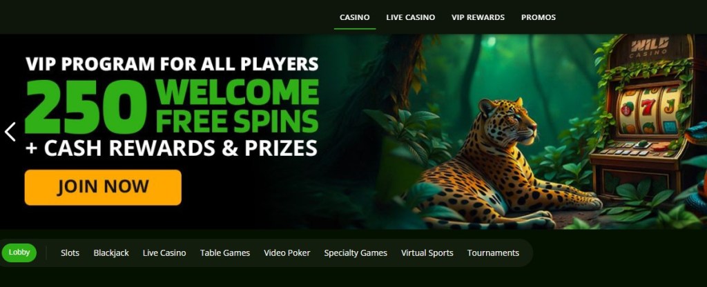 2. WildCasino: Fast Payouts and a Powerful Crypto-Friendly Platform for playing Big Bass Bonanza