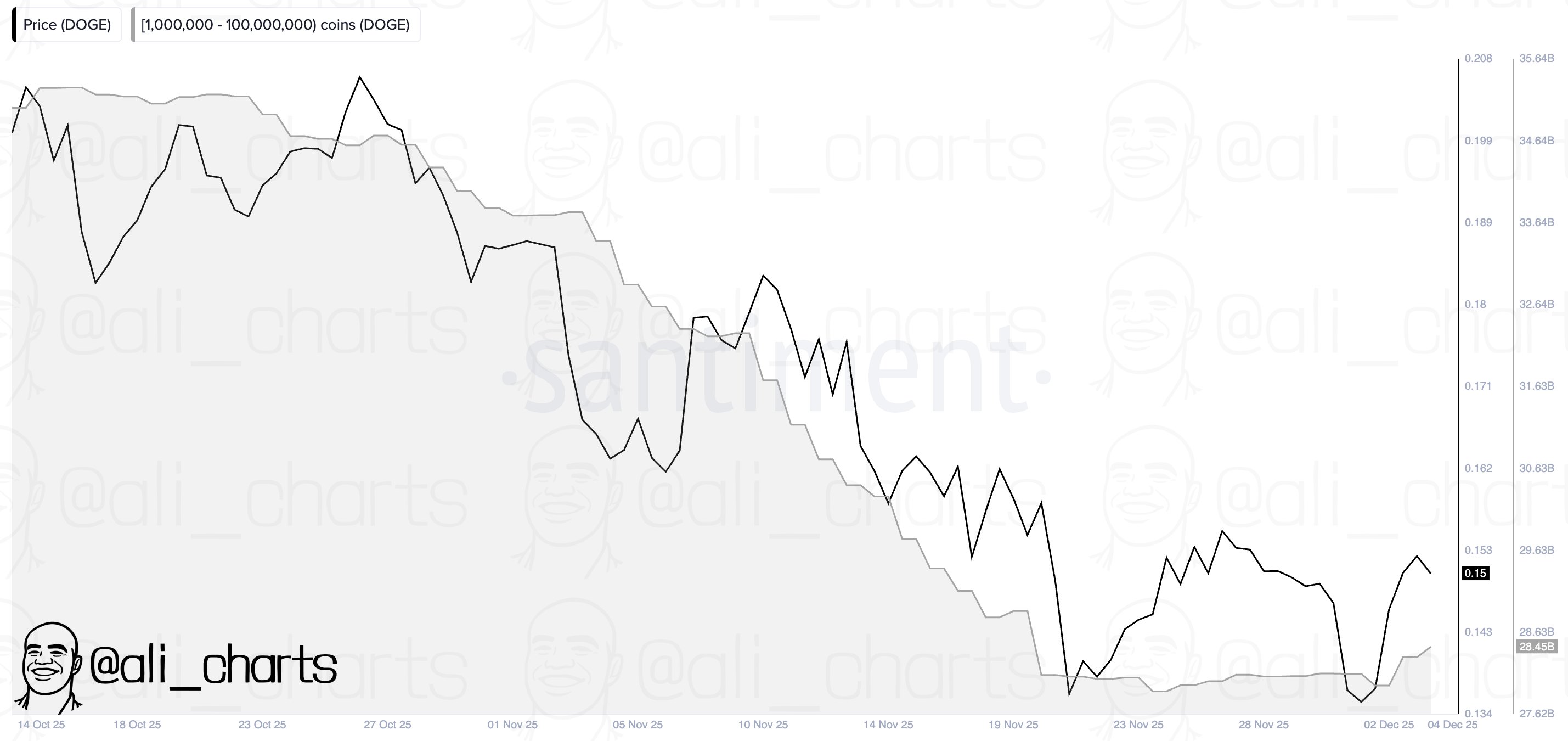 Dogecoin actividad de ballenas