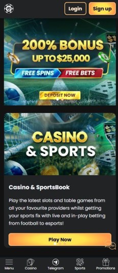 おすすめオンラインカジノはwsmカジノ