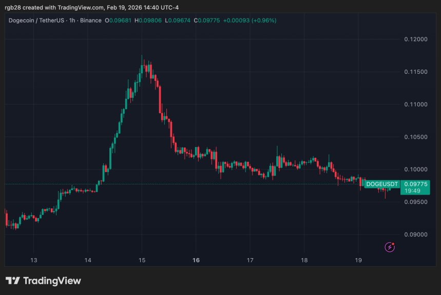 Dogecoin, doge, dogeusdt