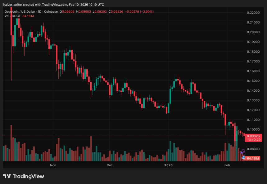Dogecoin DOGE DOGEUSD DOGEUSD_2026-02-10_11-19-31