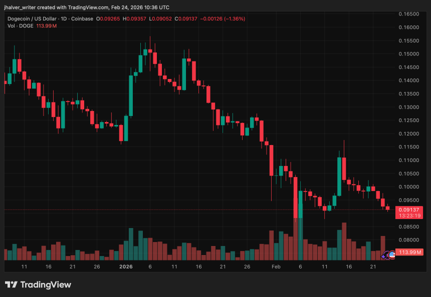 Dogecoin DOGE DOGEUSD DOGEUSD_2026-02-24_11-36-41