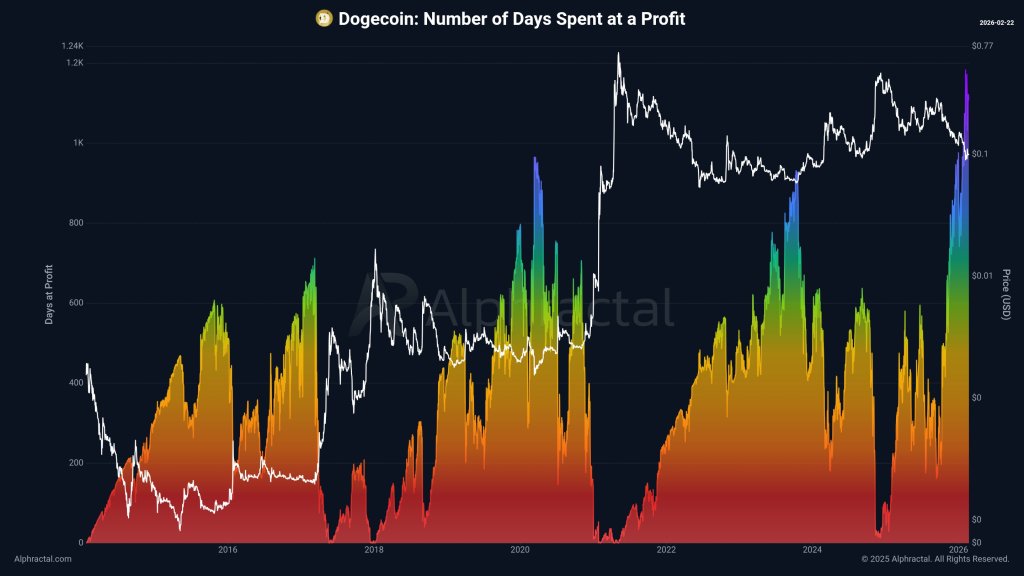 Dogecoin: Number of days spent at a profit