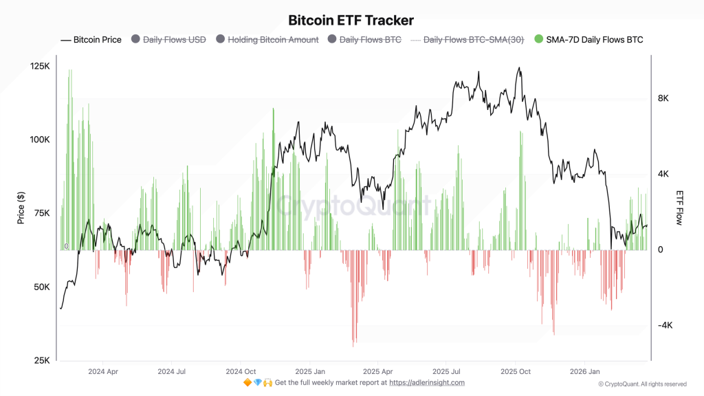 Bitcoin ETF flows