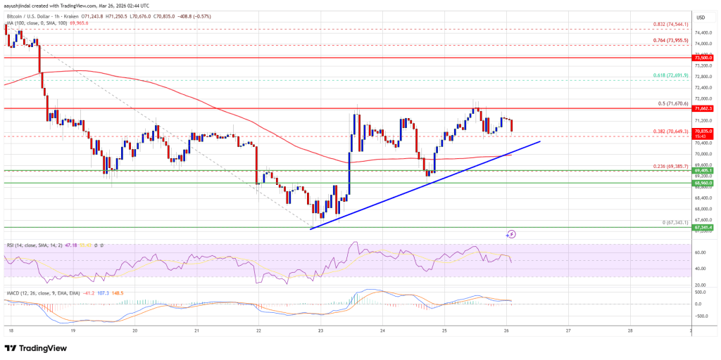 Bitcoin Price 