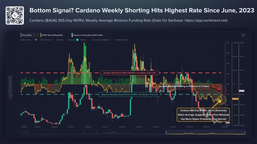 Cardano analysis