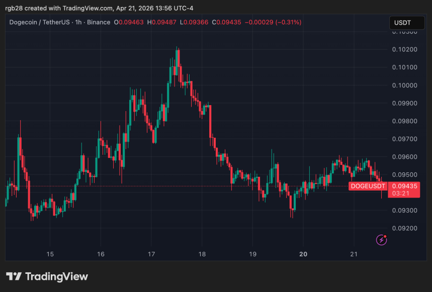 Dogecoin, doge, dogeusdt
