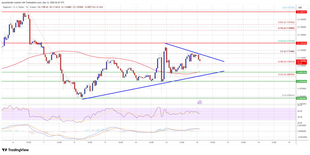 Dogecoin Price 