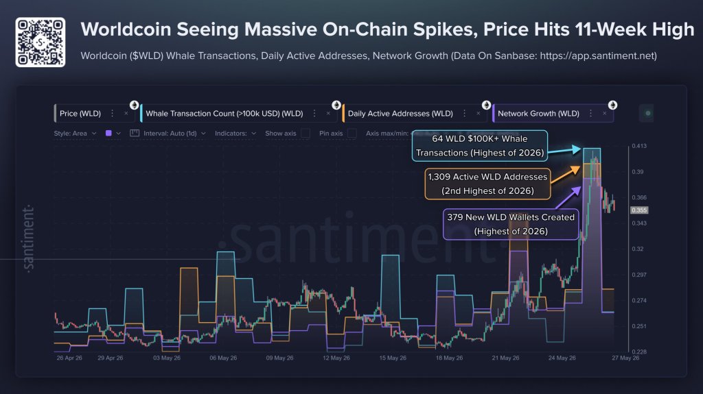 Worldcoin on-chain data