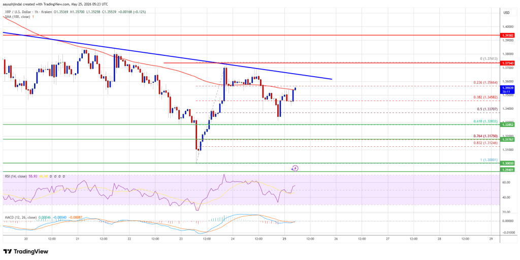 XRP Price 