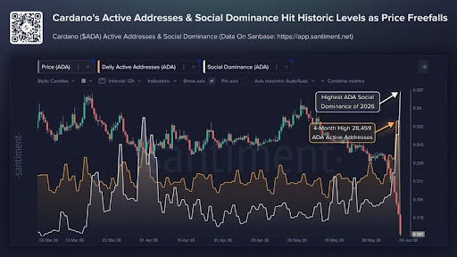 Cardano