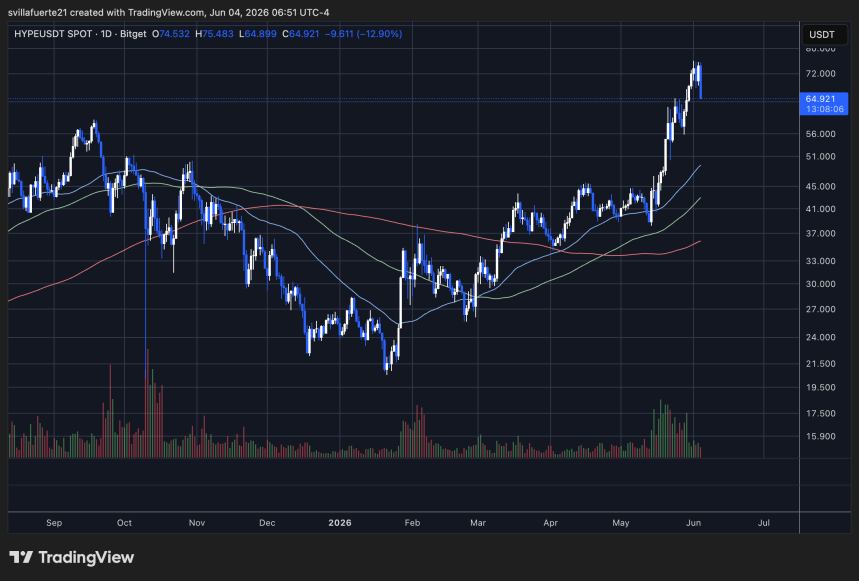 Los toros de HYPE intentan mantener el nivel de $65 | Fuente: gráfico HYPEUSDT en TradingView